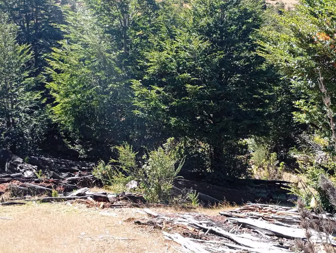 Venta Campo para desarrollo Huife-Pucón (174084) - Imagen 14