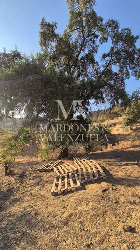 Hermosa parcela en San Francisco de Mostazal (174060)