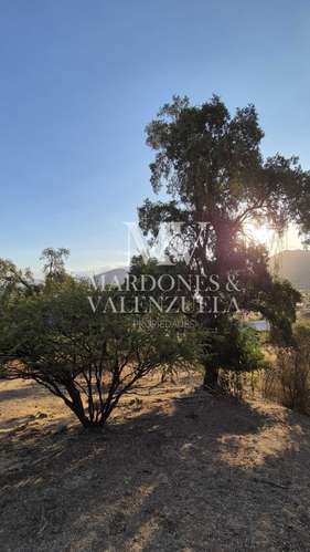 Hermosa parcela en San Francisco de Mostazal (174060)
