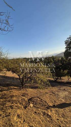 Hermosa parcela en San Francisco de Mostazal (174060)