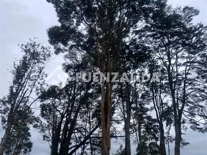 Parcela en venta en Condominio Altos de Frutillar