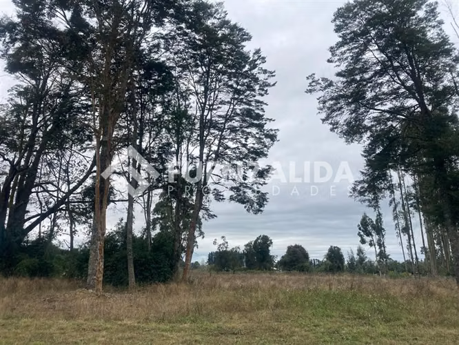 Parcela en venta en Condominio Altos de Frutillar