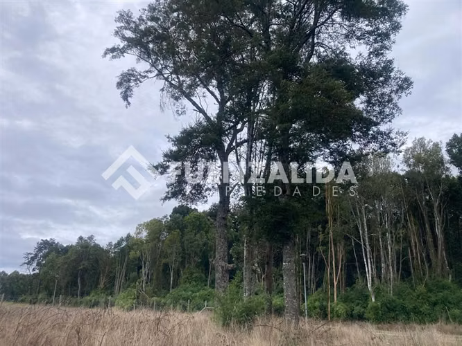 Parcela en venta en Condominio Altos de Frutillar