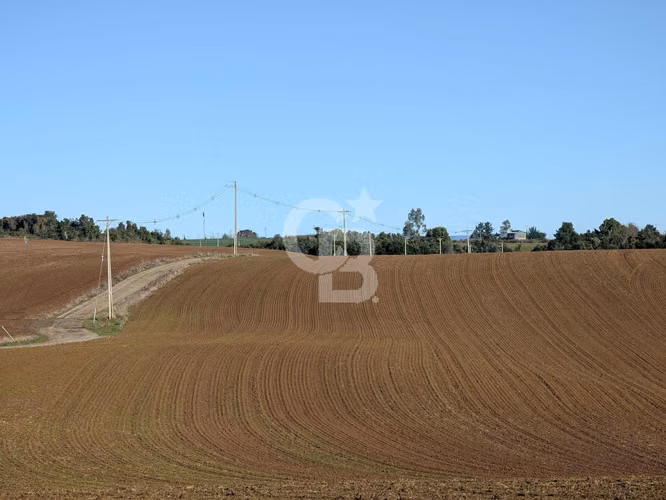 Maravilloso Campo para Inversión