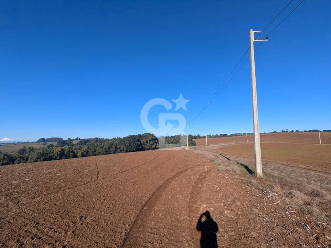 Maravilloso Campo para Inversión