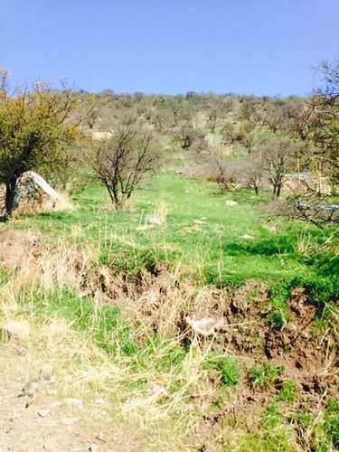 Sitio en venta en Colina - Imagen 4
