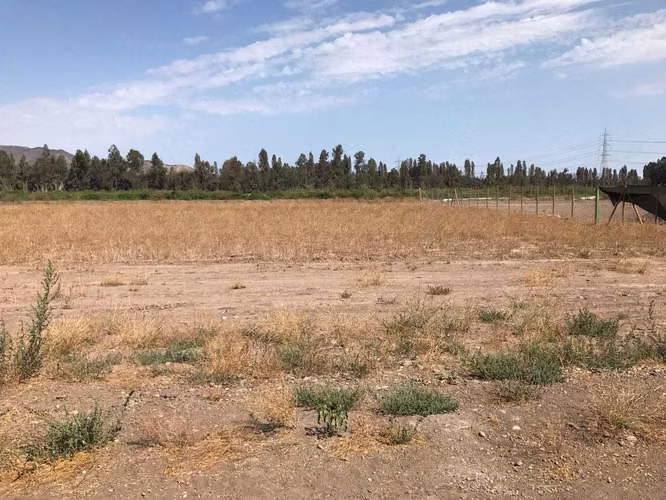 Parcela urbanizada en Calera de Tango (174168)