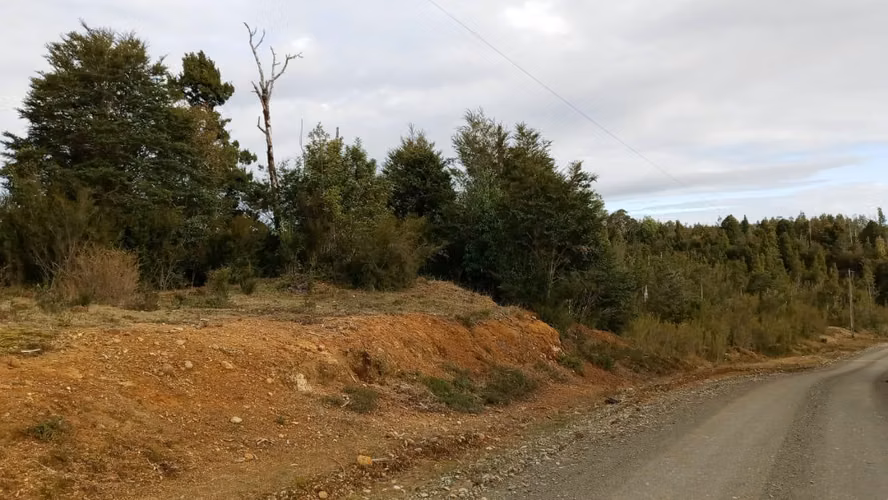Inversión en Los Muermos: 83,11 Hectáreas (Sector Río Pescado - Hijuela 22): - Imagen 7