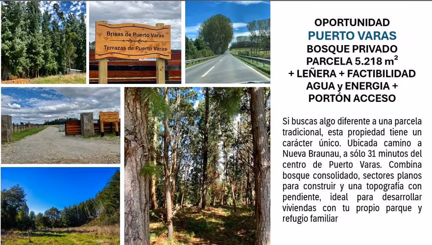 Parcela 5.218 m² en Puerto Varas | Bosque y Alta Plusvalía
