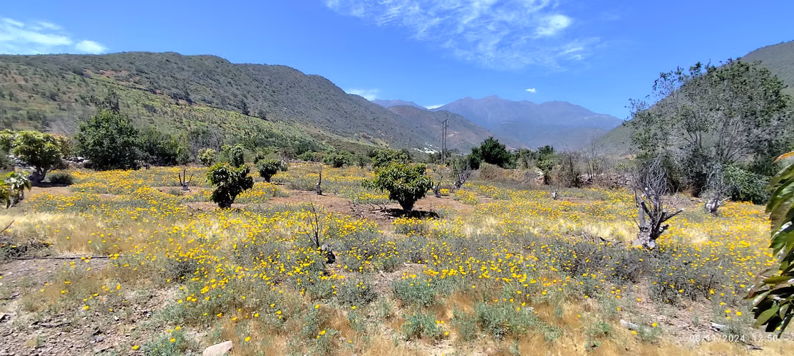Venta de parcela