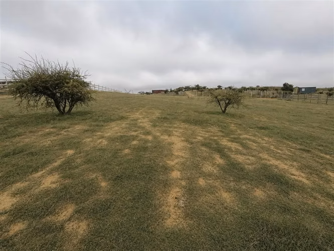 Se Vende Sitio plano y limpio de 5000m2 Marchugue VI region