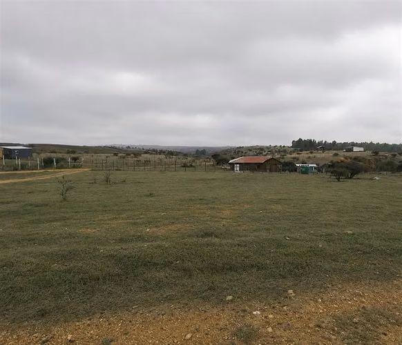 Se Vende Sitio plano y limpio de 5000m2 Marchugue VI region