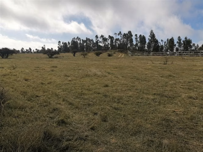 Se Vende Sitio plano y limpio de 5000m2 Marchugue VI region