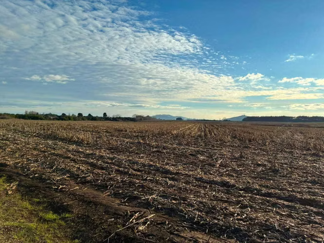 Campo agrícola muy productivo con agua (174199)
