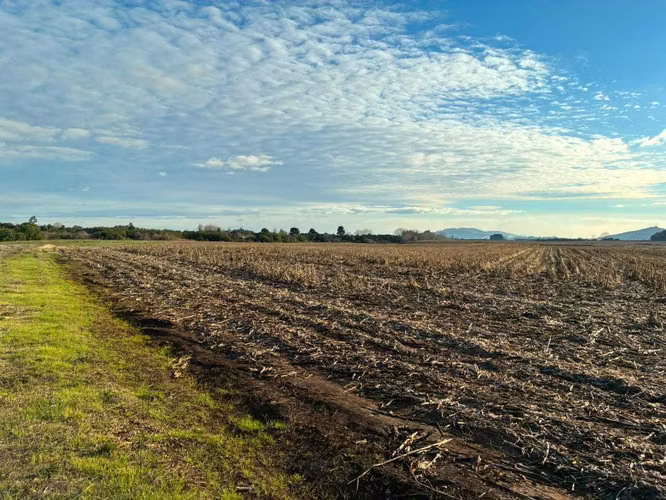 Campo agrícola muy productivo con agua (174199)