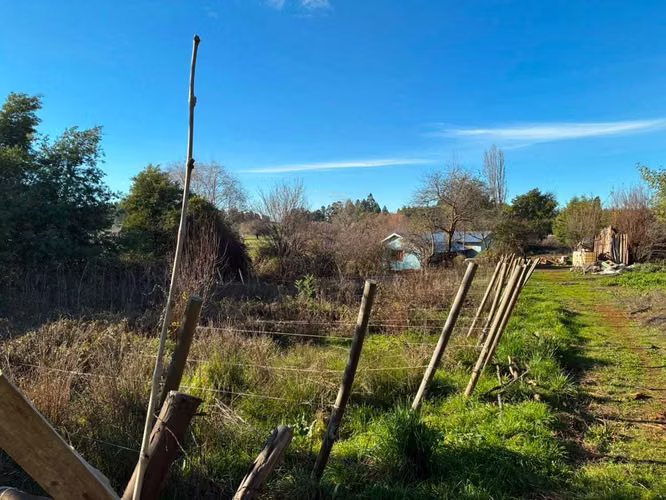 Campo agrícola muy productivo con agua (174199)