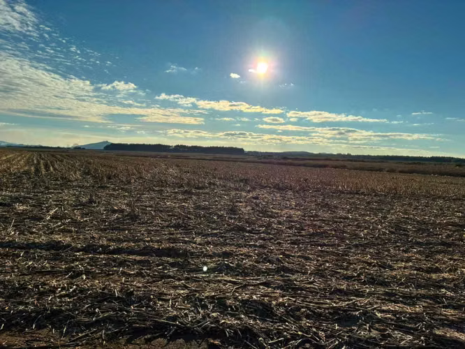Campo agrícola muy productivo con agua (174199)