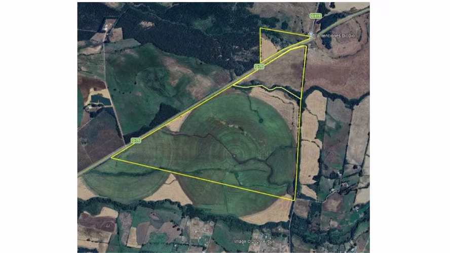 Campo agrícola muy productivo con agua (174199)
