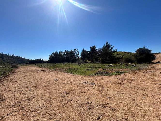 Parcela con Vistas Espectaculares (174234) - Imagen 16