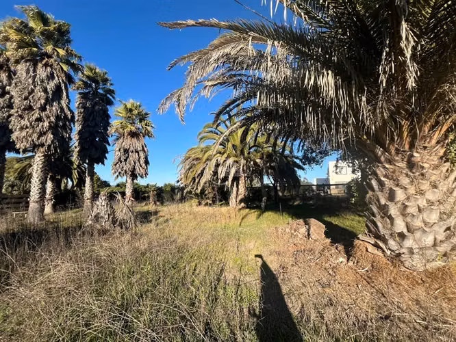 Sitio en venta en Santo Domingo - Imagen 4