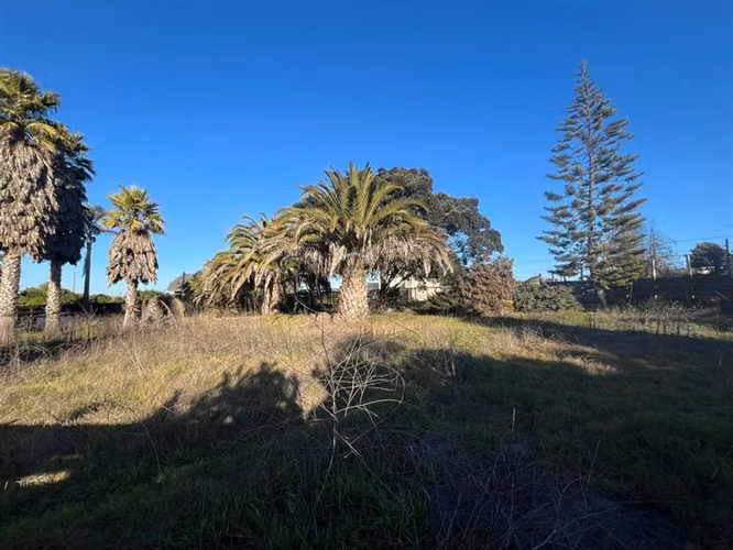 Sitio en venta en Santo Domingo - Imagen 7