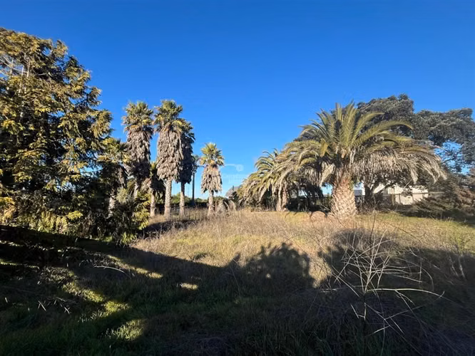 Sitio en venta en Santo Domingo - Imagen 9