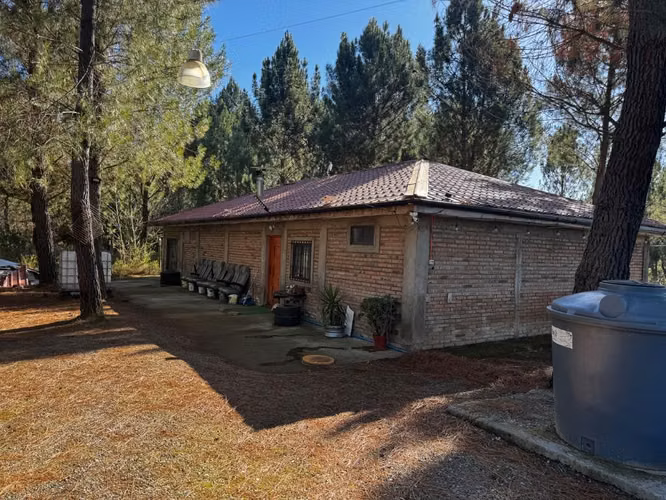 Vende