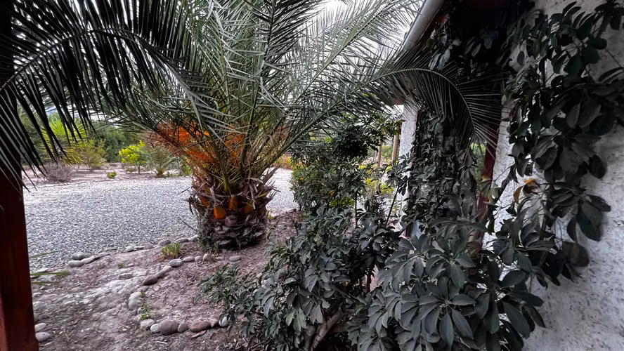 VENTA DE PARCELA EN EL CAMINO OLIVETO - CONDOMINIO PIEDRAS BLANCAS