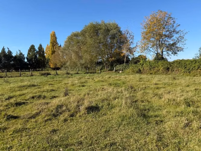 Terreno en venta - Bulnes - Imagen 2