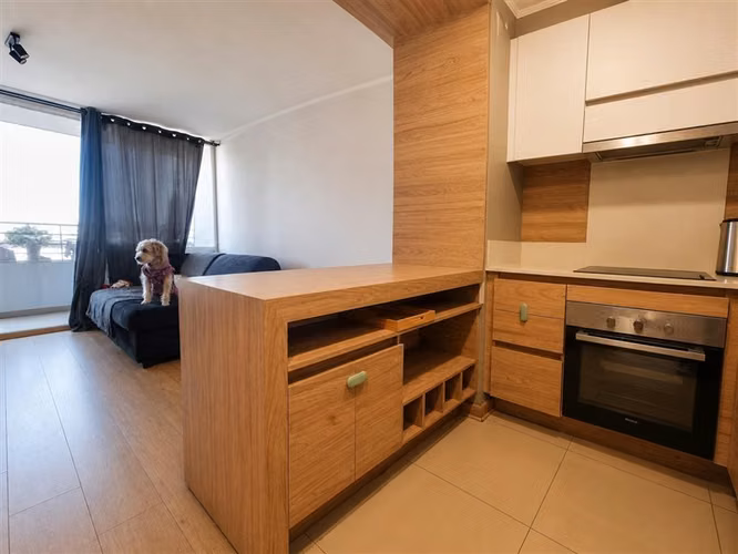 DEPARTAMENTO Lincoyán / 1D + 1B