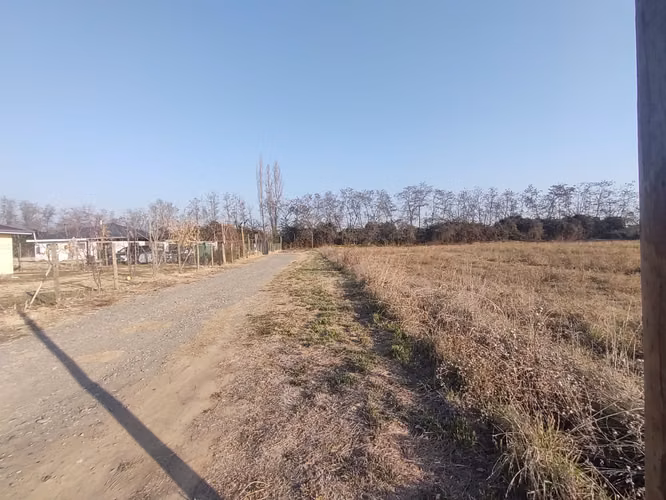 Parcela Sector Las Delicias , Codegua