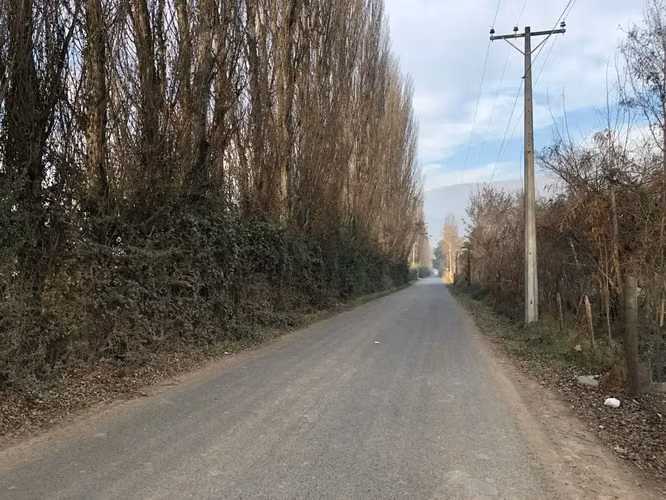 Parcela Sector Las Delicias , Codegua