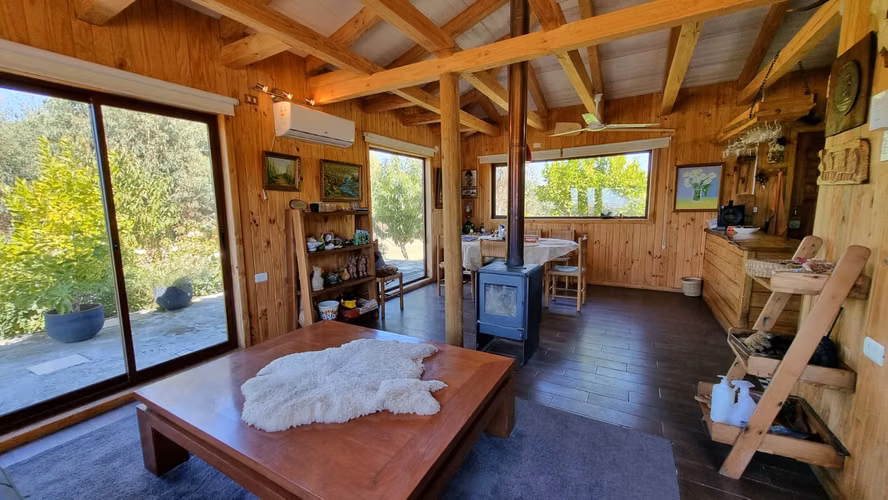 Campo Con Excelente Casa Y Bosque Eucalipto - Cercano Yumbel