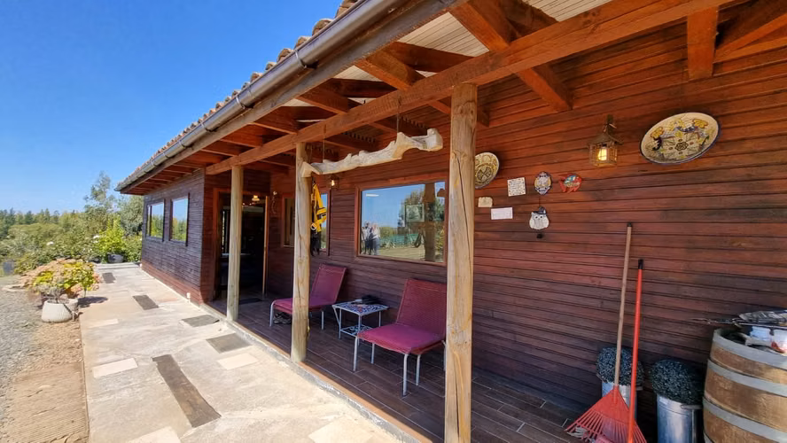 Campo Con Excelente Casa Y Bosque Eucalipto - Cercano Yumbel