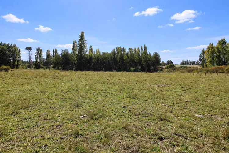 Campo Con Excelente Casa Y Bosque Eucalipto - Cercano Yumbel