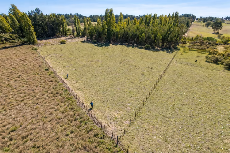 Campo Con Excelente Casa Y Bosque Eucalipto - Cercano Yumbel
