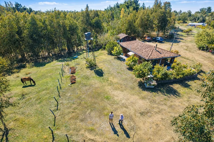 Campo Con Excelente Casa Y Bosque Eucalipto - Cercano Yumbel