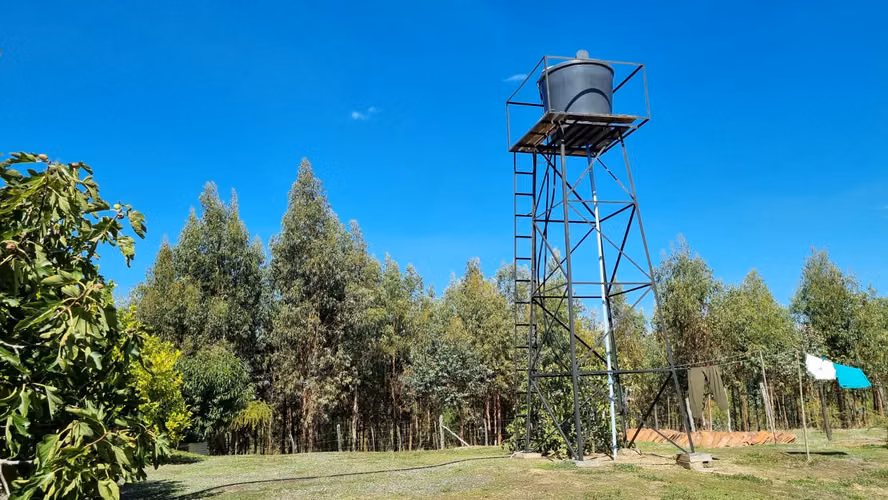 Campo Con Excelente Casa Y Bosque Eucalipto - Cercano Yumbel
