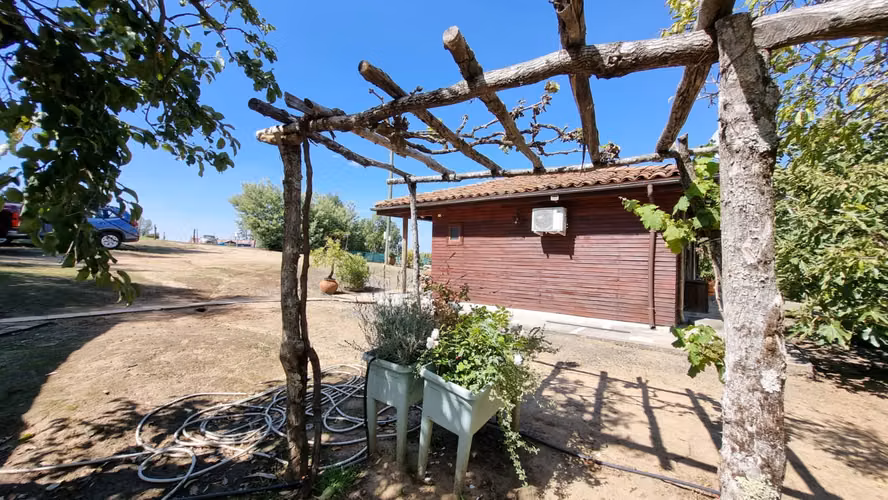 Campo Con Excelente Casa Y Bosque Eucalipto - Cercano Yumbel