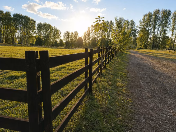 Venta exclusivas parcelas a 8 km de Osorono | Parque Centaura