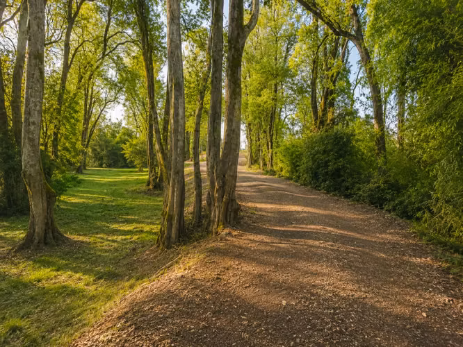 Venta exclusivas parcelas a 8 km de Osorono | Parque Centaura