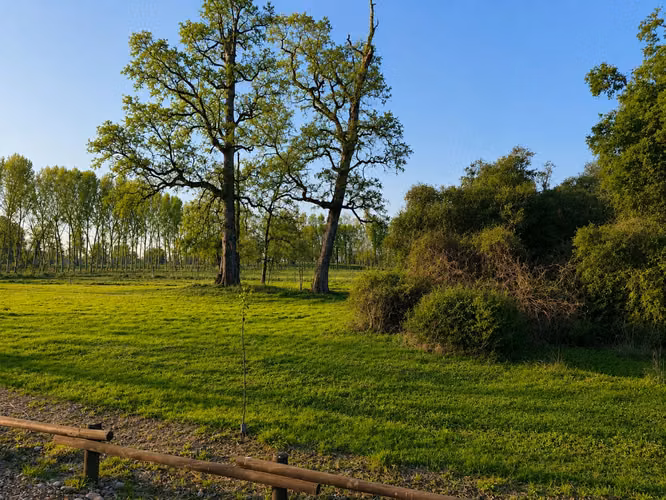 Venta exclusivas parcelas a 8 km de Osorono | Parque Centaura