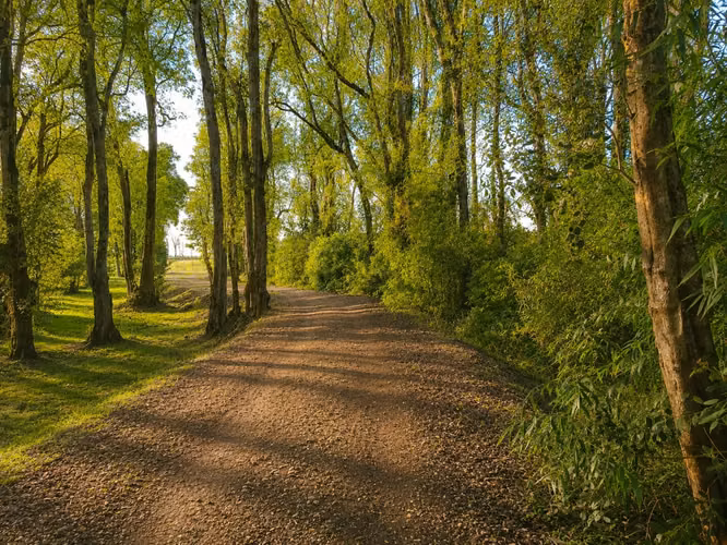 Venta exclusivas parcelas a 8 km de Osorono | Parque Centaura