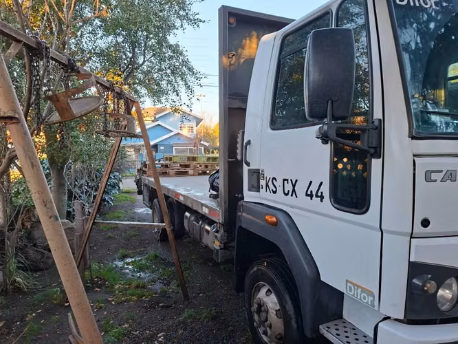 Ford cargo 1119