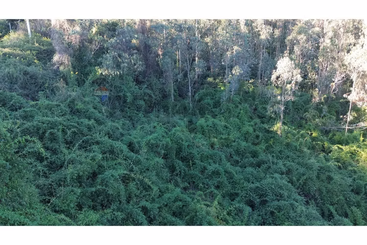 Terreno nonguén 3.000m² útiles urbanizado - Imagen 10