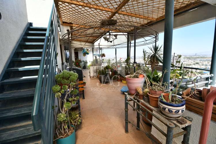 AMPLIO PENTHOUSE 3D 3B 260 MTS TERRAZAS PISO 21 MTO EL LLANO - Imagen 20
