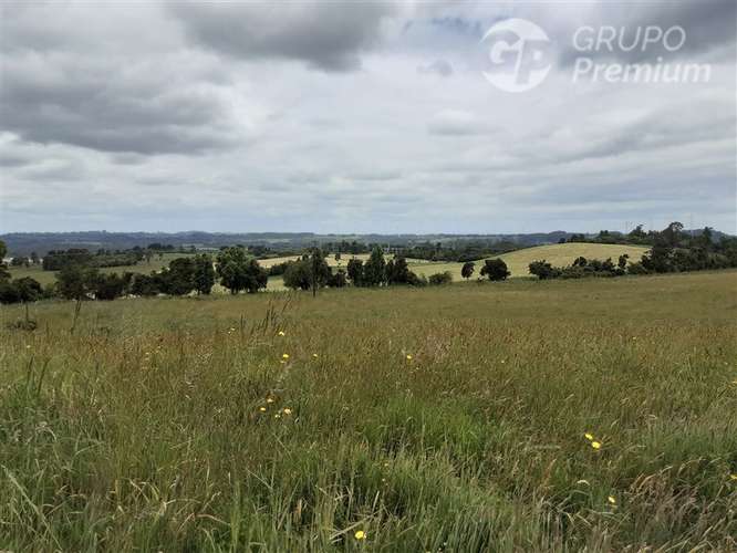 Parcela en venta en Puerto Varas - Imagen 4