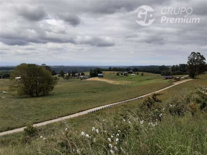 Parcela en venta en Puerto Varas - Imagen 6