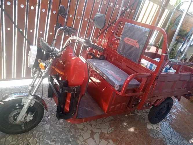 Torito electrico, nuevo