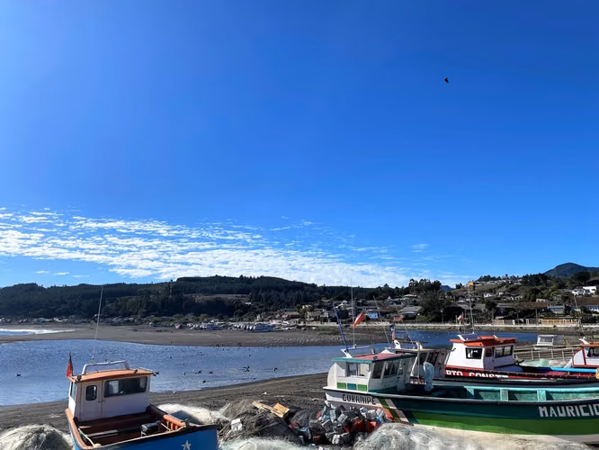Vista panorámica al mar y bosque, Curanipe (174387)